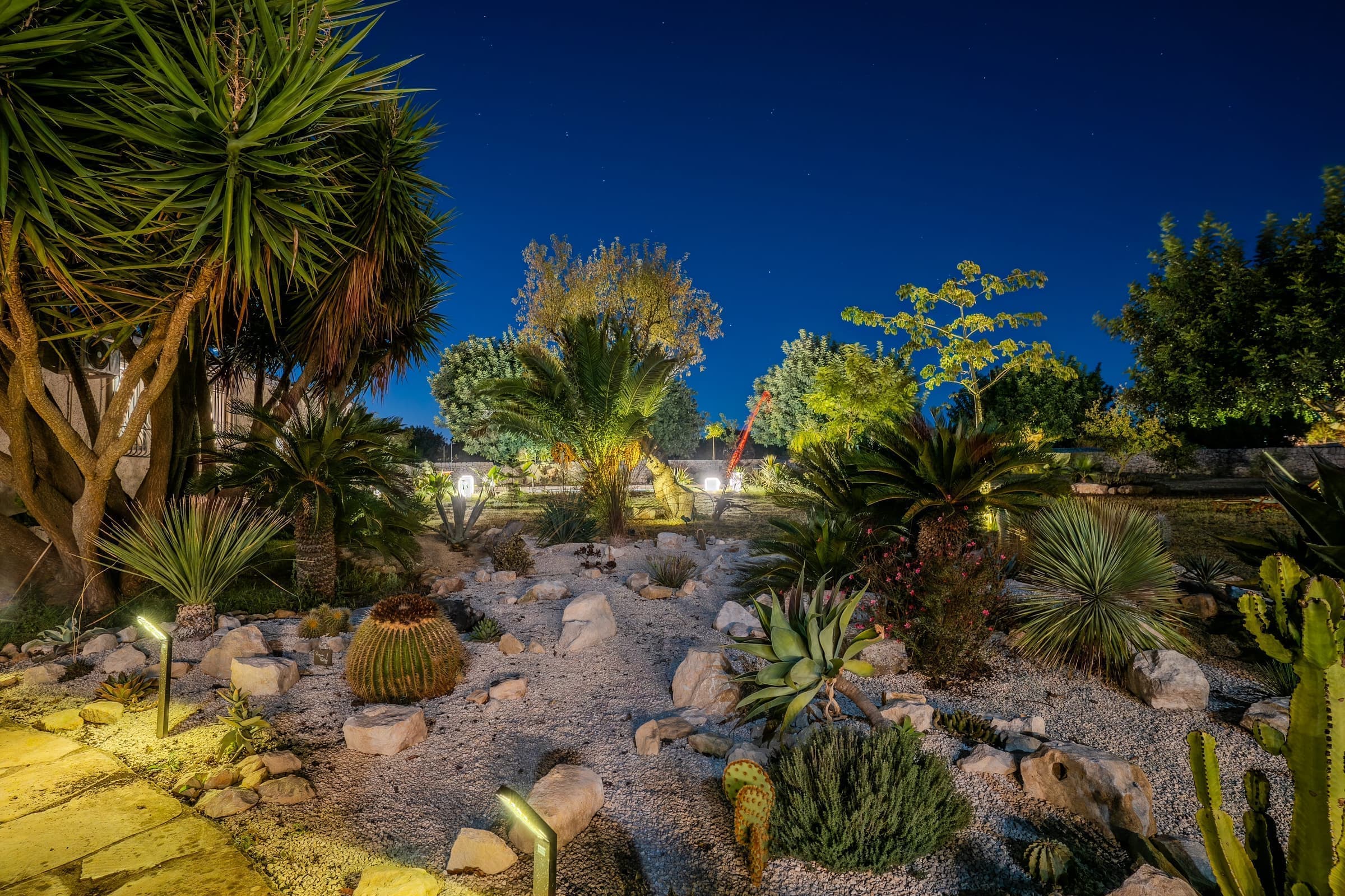 Night view of the gardens from above