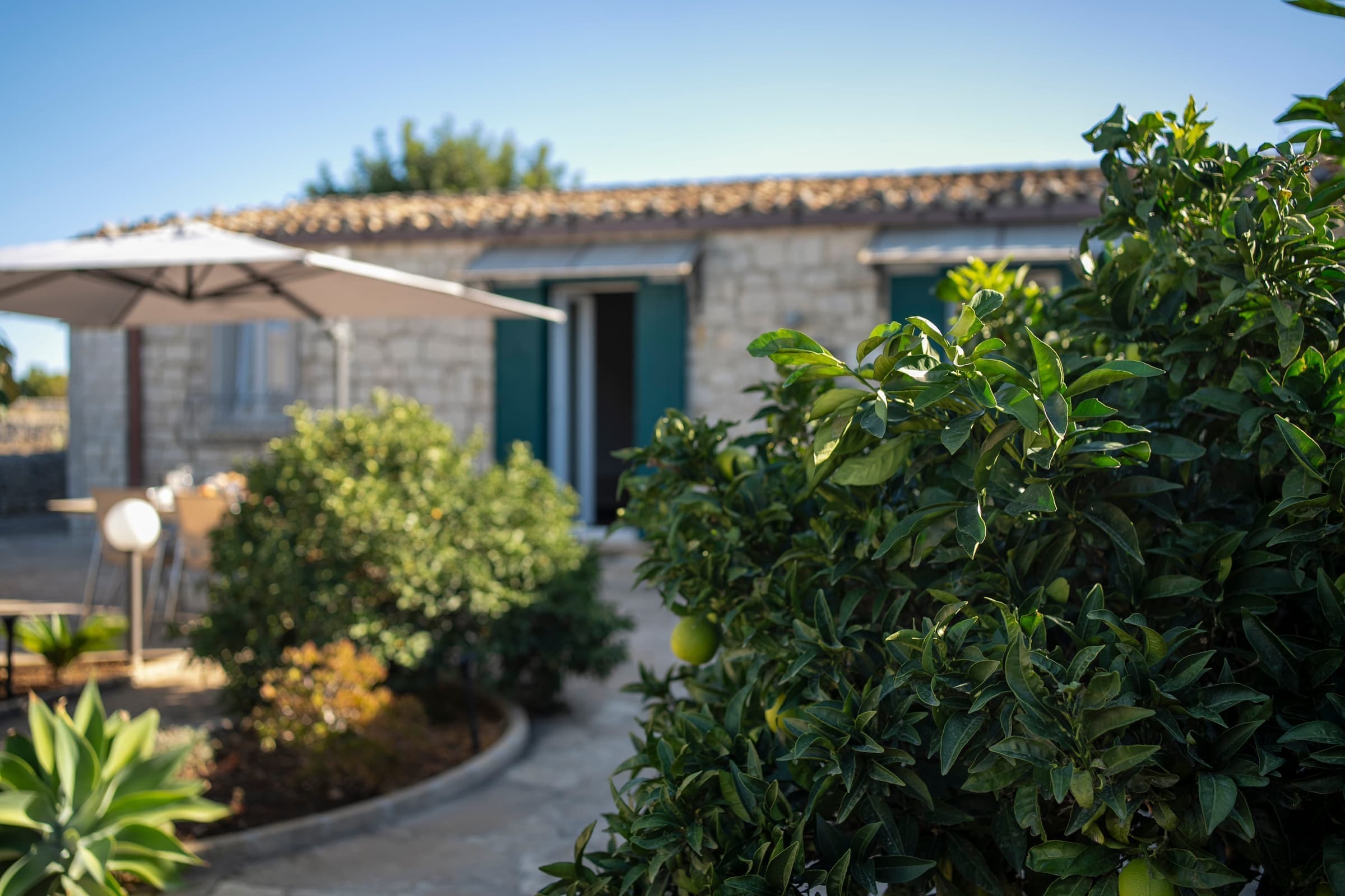 Citrus trees adding fragrance to the gardens