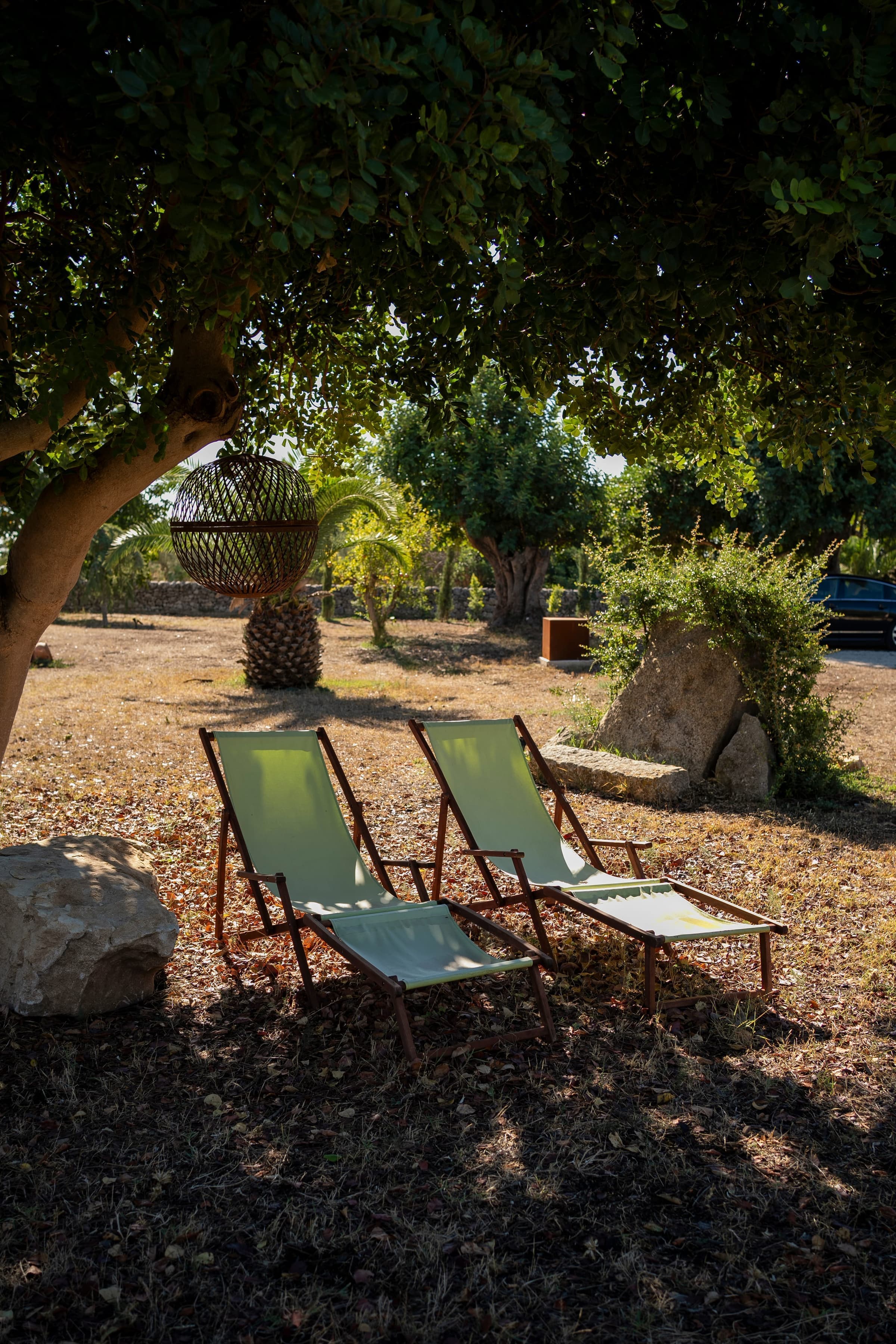 Shaded garden retreat with lounging areas