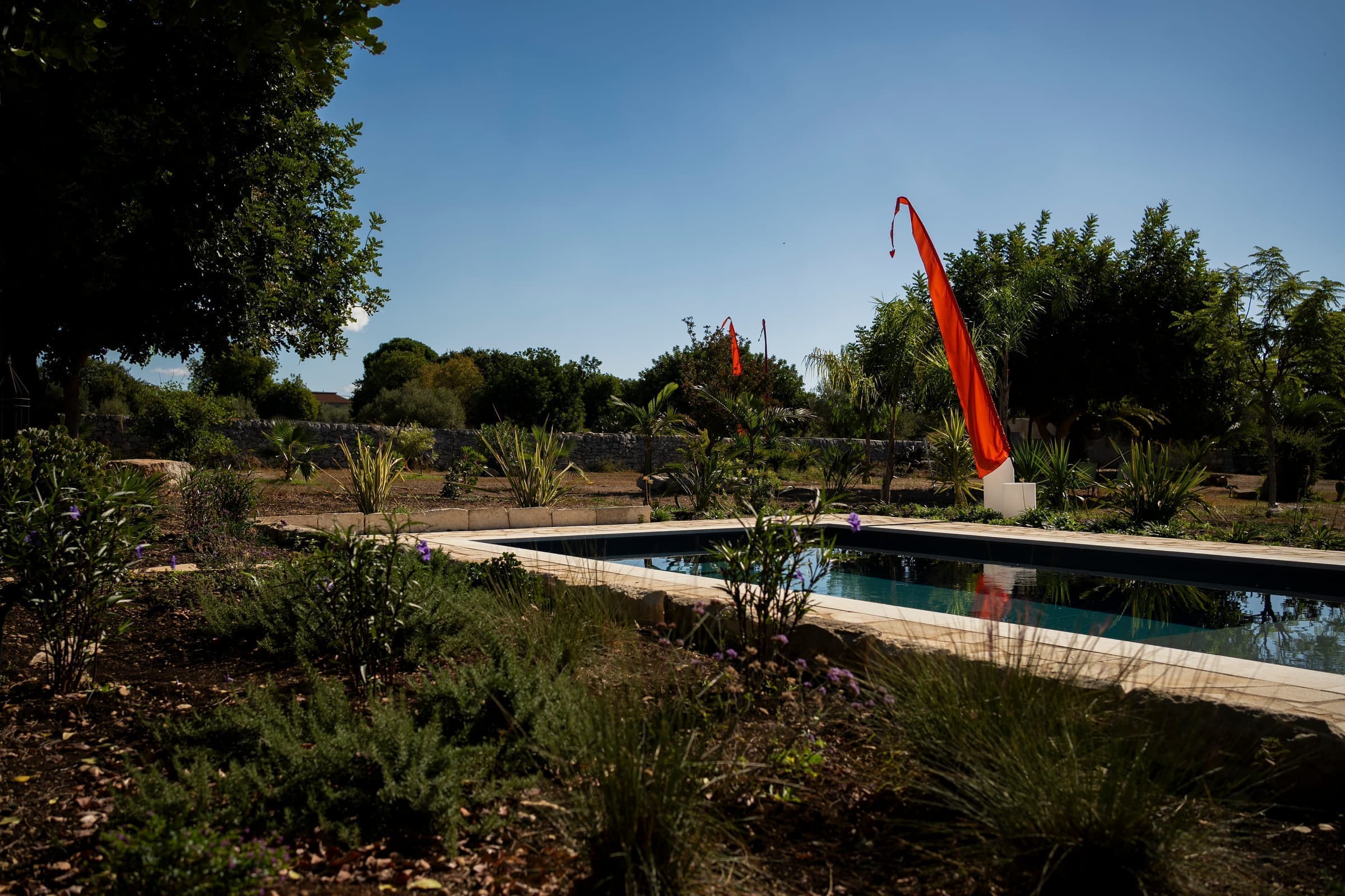 Pool area with colorful umbrella and orange trees