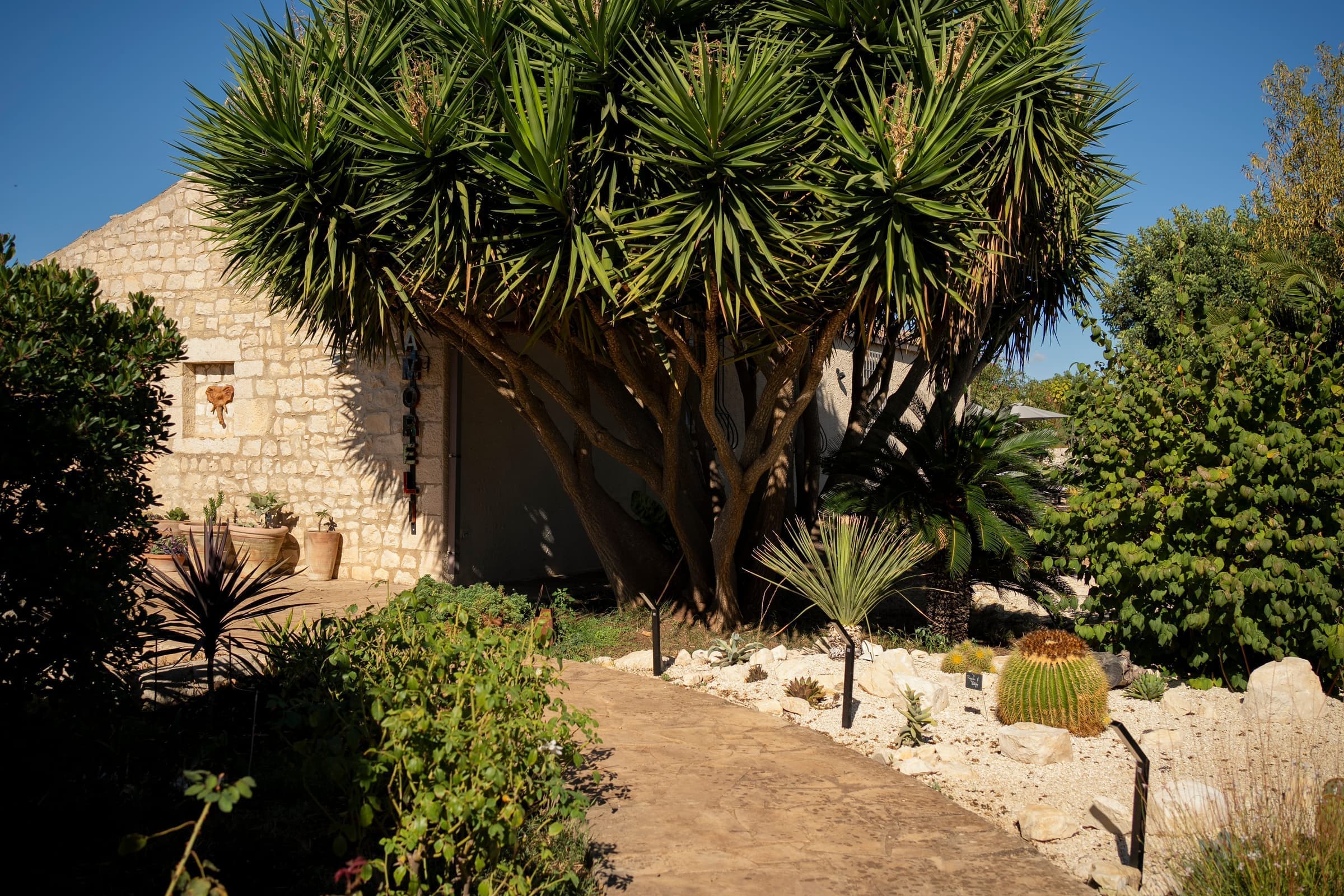 Outdoor dining under ancient stone walls
